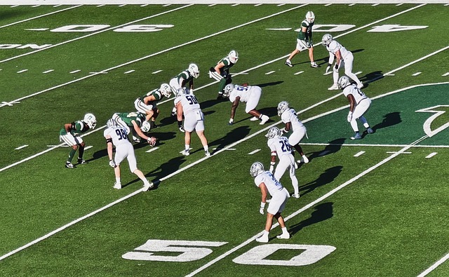 战区的表现 战区的表现