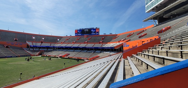 大量高质量 大量高质量