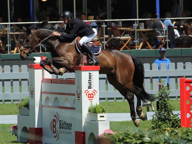 了本赛季完 了本赛季完