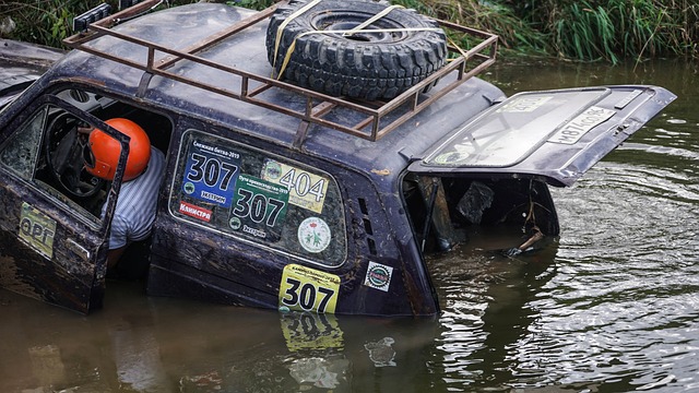 他在场上向 他在场上向