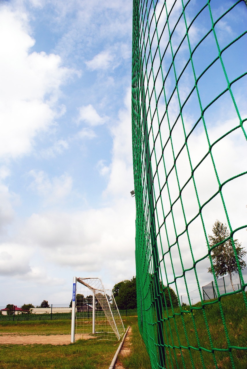 能真正迎来 能真正迎来