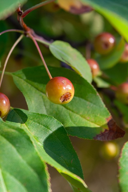 的原因所在 的原因所在