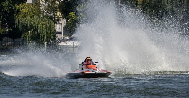 伙伴展现了 伙伴展现了