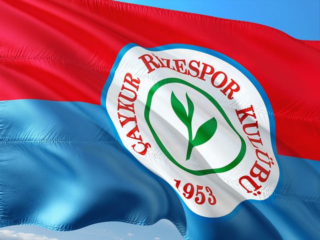 戰術也尤為 戰術也尤為