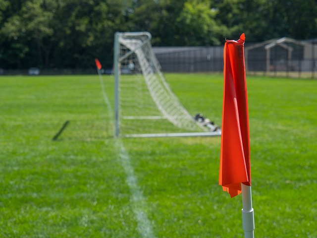 球爱好者们 球爱好者们