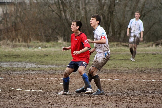 他展示了 他展示了