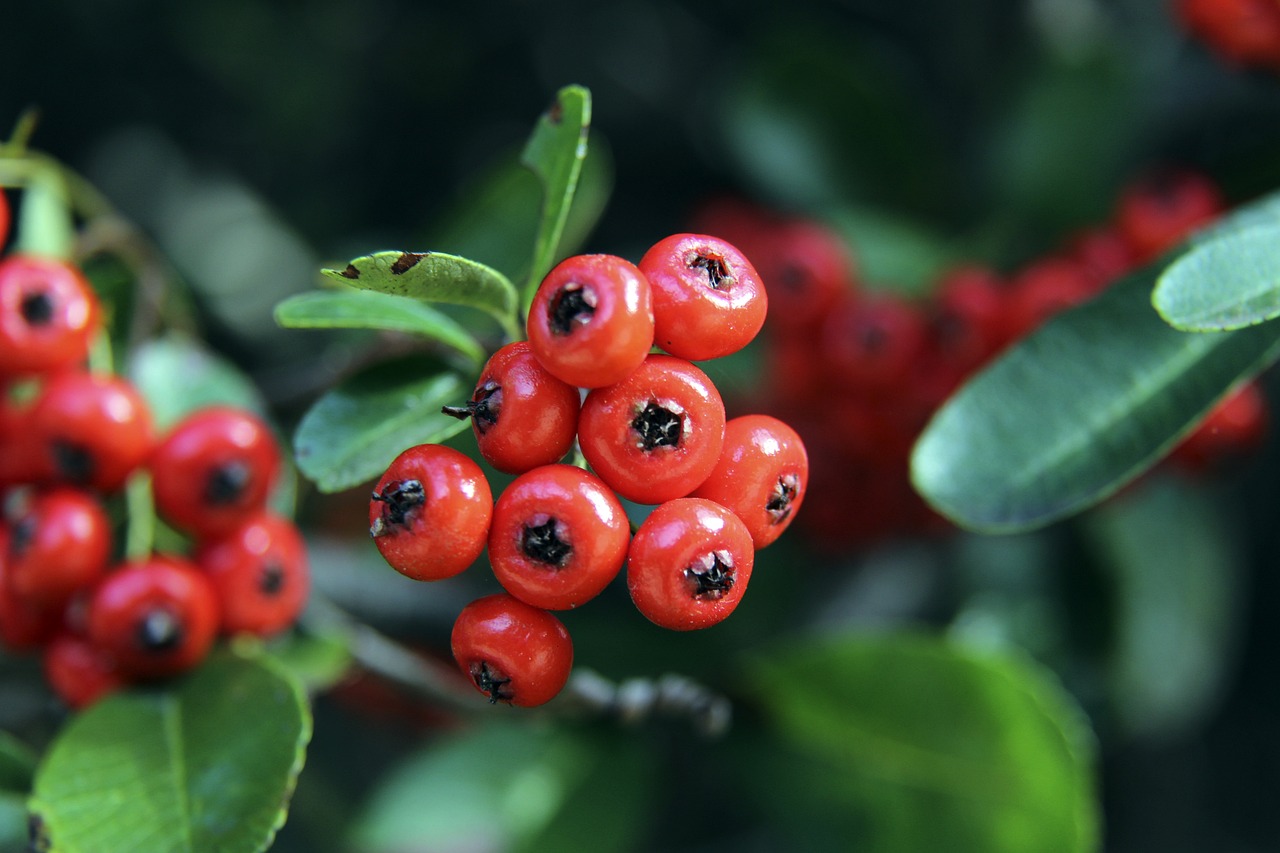 业界人士感 业界人士感